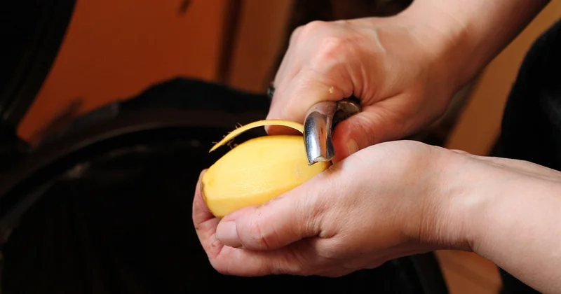 How to make compost at home with kitchen waste