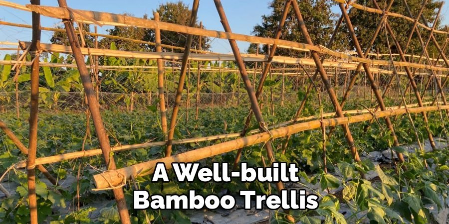 A Well-built Bamboo Trellis