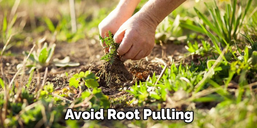 Avoid Root Pulling