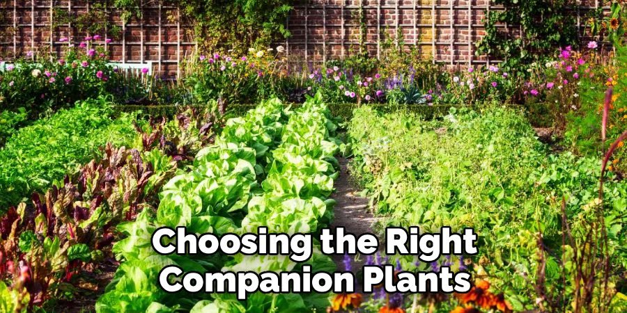Choosing the Right Companion Plants