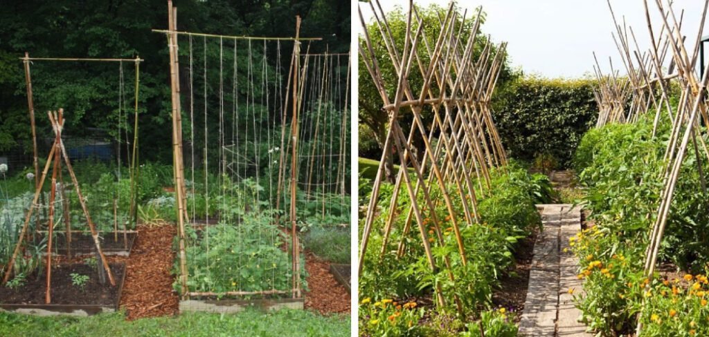 DIY Bamboo Trellis for Vegetable Garden