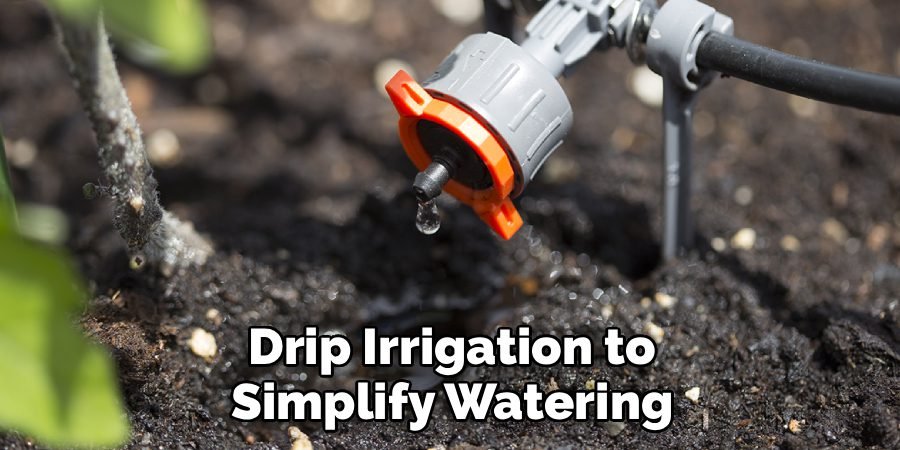 Drip Irrigation to Simplify Watering