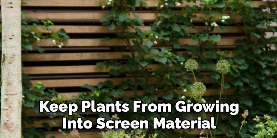 Keep Plants From Growing Into Screen Material
