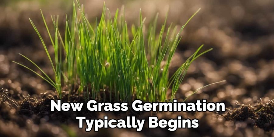 New Grass Germination Typically Begins