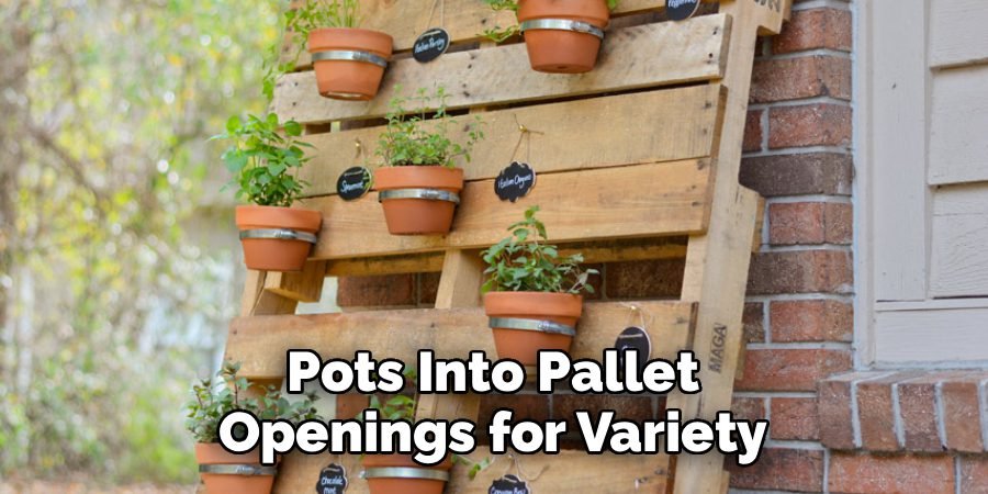 Pots Into Pallet Openings for Variety Pots Into Pallet Openings for Variety