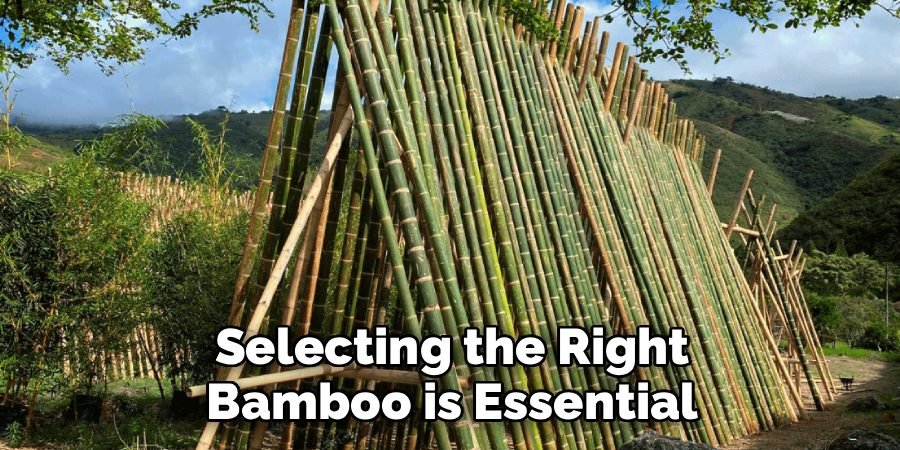 Selecting the Right Bamboo is Essential