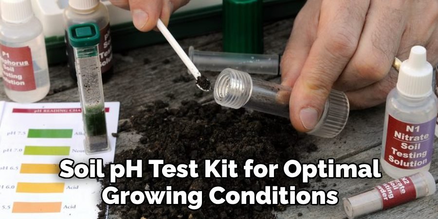 Soil pH Test Kit for Optimal Growing Conditions