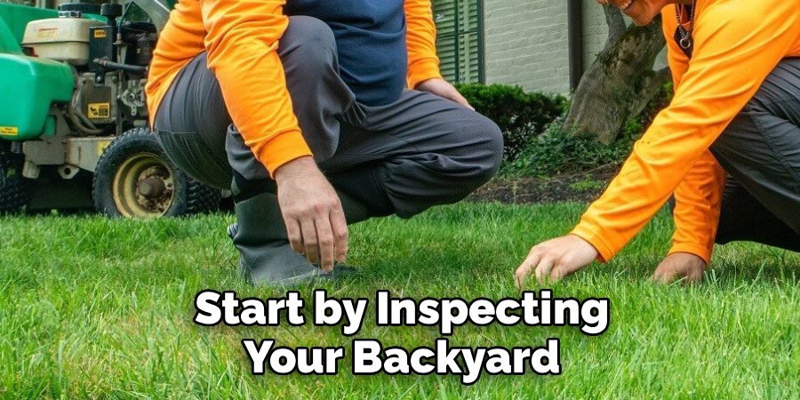 Start by Inspecting Your Backyard