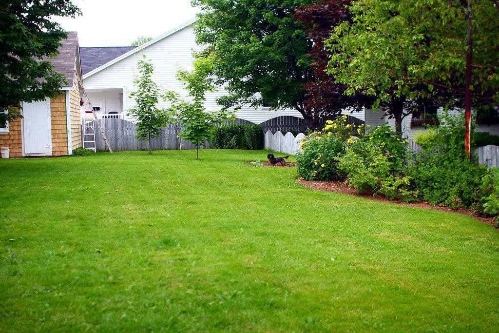 Transform Your Backyard with Easy DIY Projects