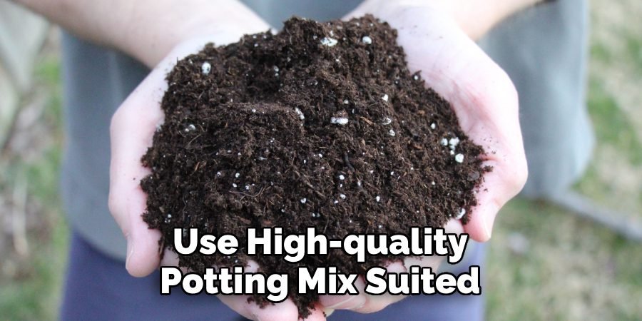Use High-quality Potting Mix Suited Use High-quality Potting Mix Suited