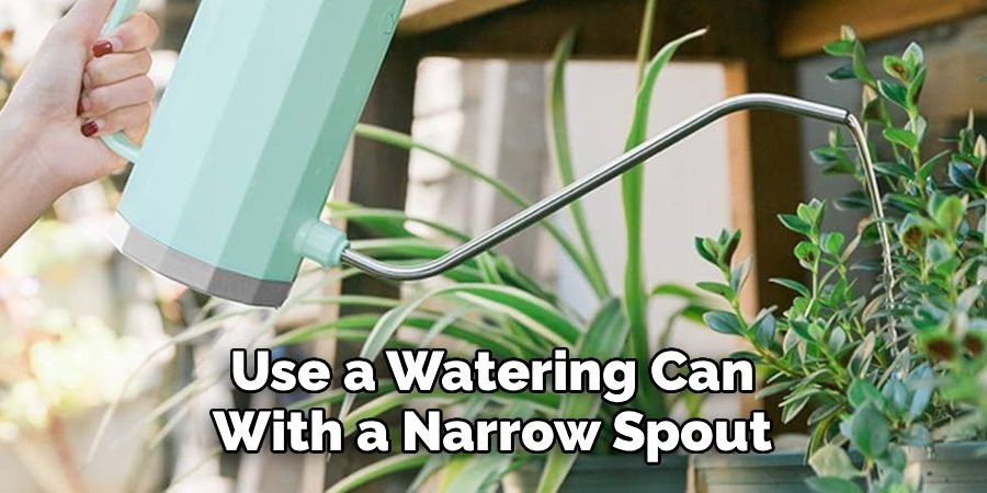 Use a Watering Can With a Narrow Spout Use a Watering Can With a Narrow Spout