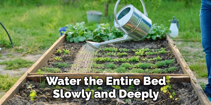 Water the Entire Bed Slowly and Deeply